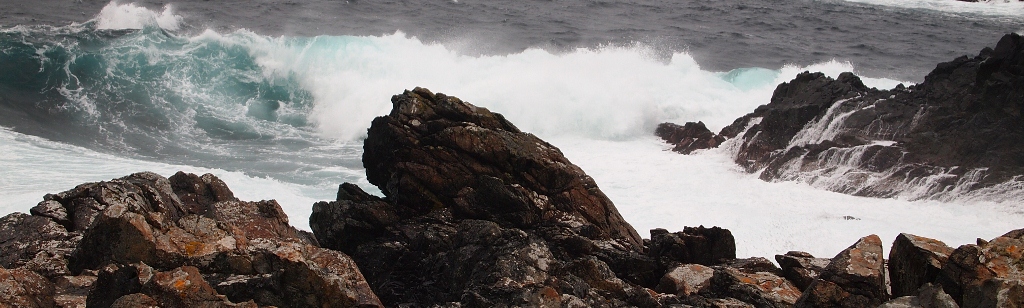 Baltasound Hotel, particularly spectacular with its varied nature