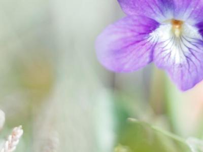 Baltasound Hotel, Keen of Hamar